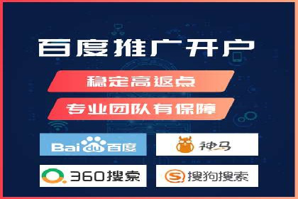 某电商平台的SEM推广实践与效果展示